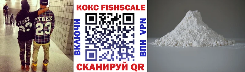 купить закладку  Петров Вал  Cocaine FishScale 