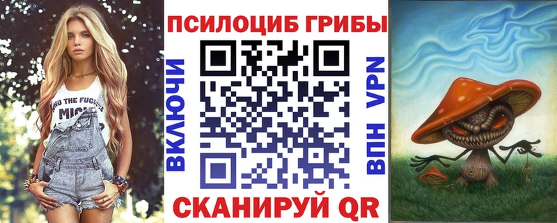 даркнет сайт  Петров Вал  Псилоцибиновые грибы Psilocybe 