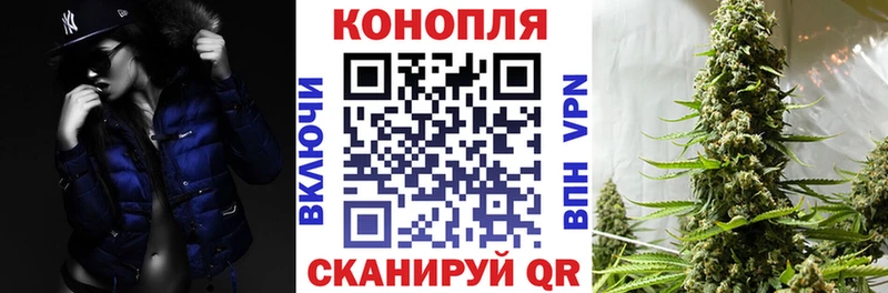 мориарти официальный сайт  Петров Вал  omg маркетплейс  Шишки марихуана Bruce Banner  где продают  